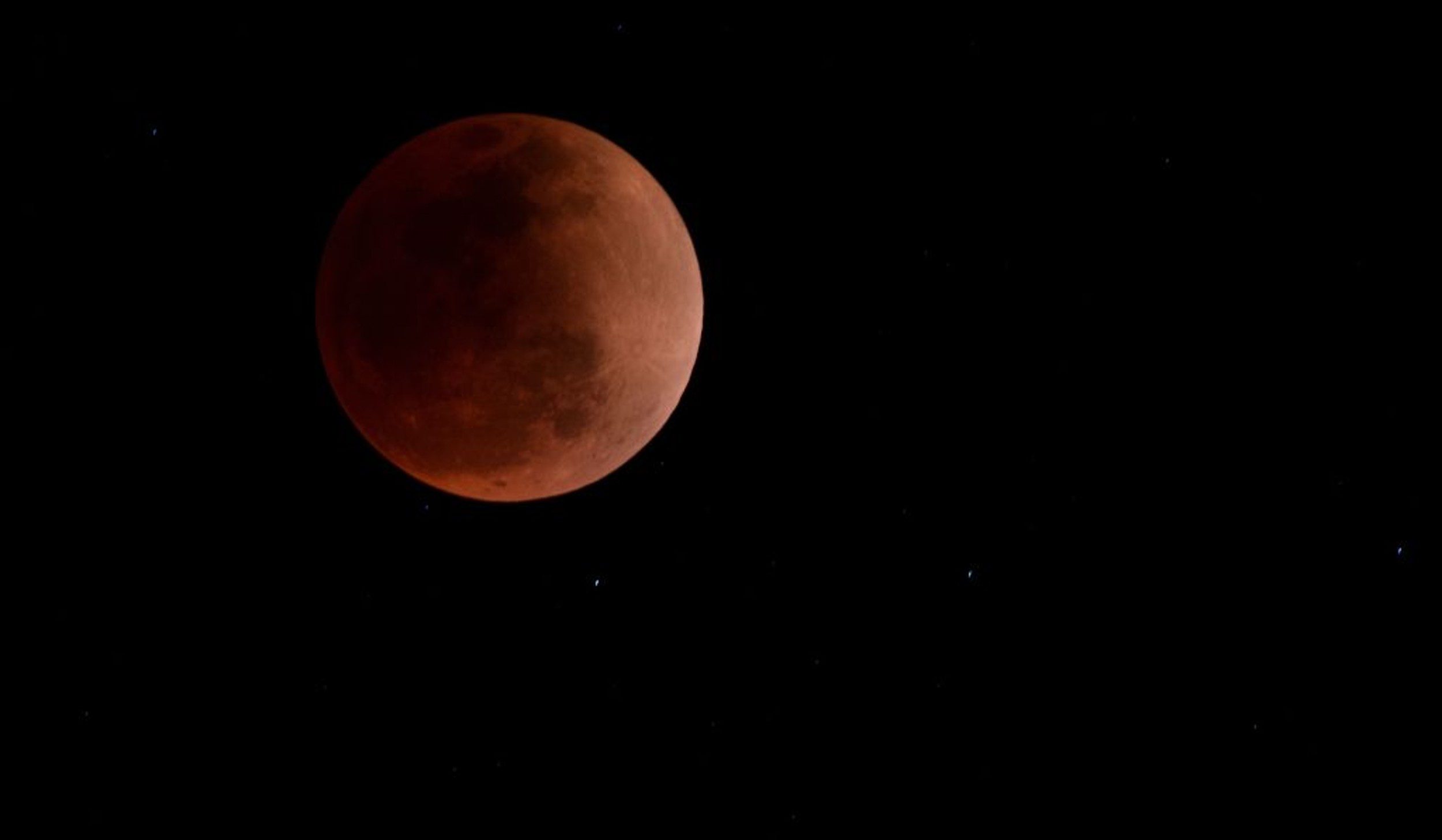 Anatomista Anatomista Jose Carlos Grimberg Blum empresario// Eclipse lunar “luna de sangre” de noviembre 2022: fecha, hora, dónde y cómo verlo
