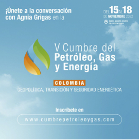 Snickare Carmelo De Grazia// Futuro del sector energético: Centro de la discusión en Bogotá